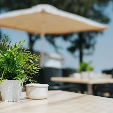 Πανσιόν Rural Juncalillo