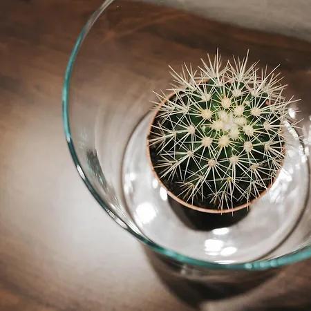 Rural Juncalillo GRAN CANARIA