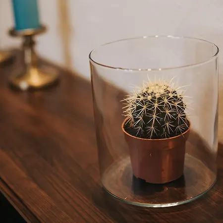 Casa de hóspedes Rural Juncalillo GRAN CANARIA