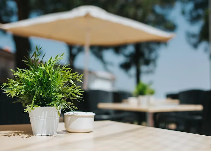 Pensionat Rural Juncalillo