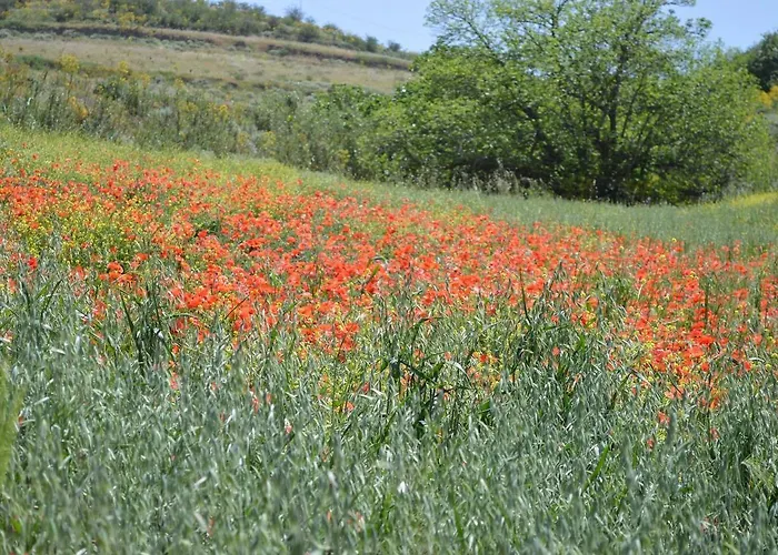 Rural Juncalillo