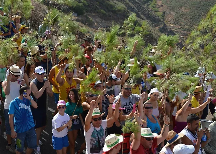 Pensionat Rural Juncalillo *