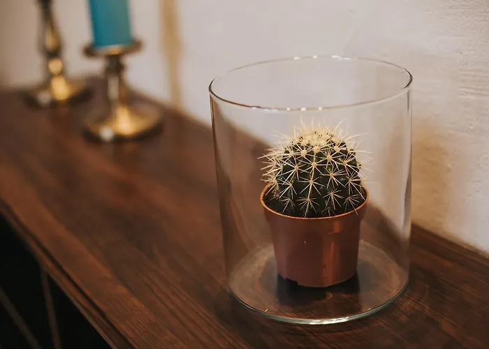 Pensionat Rural Juncalillo GRAN CANARIA