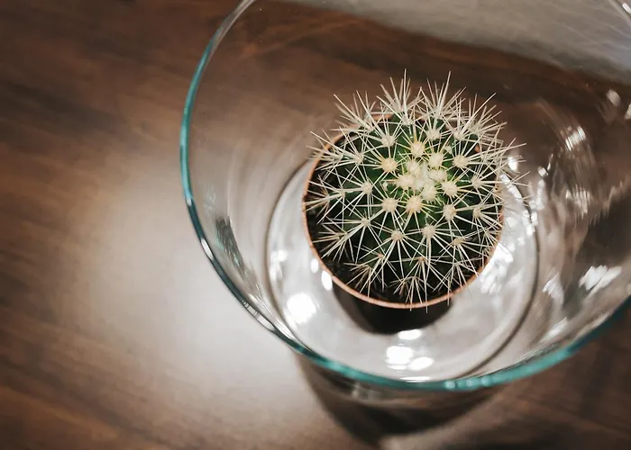 Rural Juncalillo GRAN CANARIA